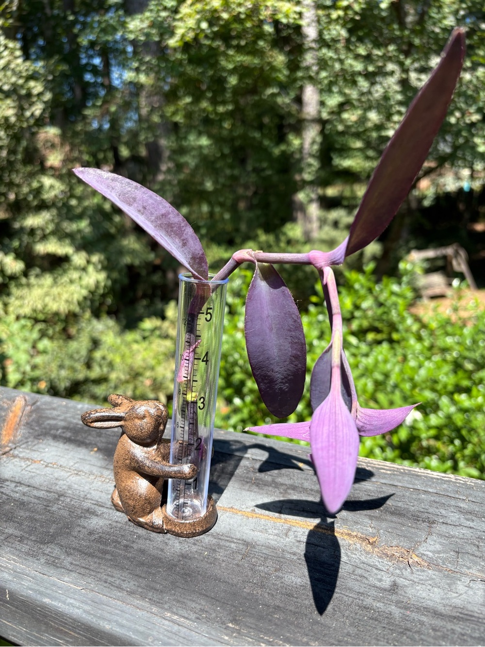 Cast Iron Rabbit Rain Gauge - Picture 3 of 6